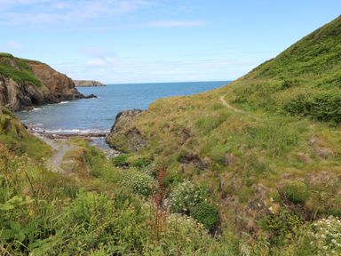 A coastal scene with a narrow path, rocky cliffs, and vegetation near the sea at 2 Yr Hen Felin Castle Morris near Letterston