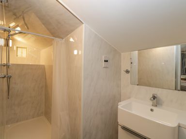 A bathroom with a shower area and a sink with a mirror at White Roses in Whitchurch near Monmouth