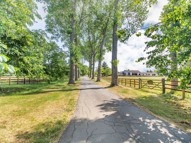 A paved driveway lined with tall trees and wooden fences leading to a house at The Paddock in Honington near Shipston-On-Stour
