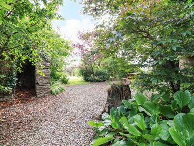 A garden path with gravel and greenery including trees shrubs and plants at The Cottage in St Kew