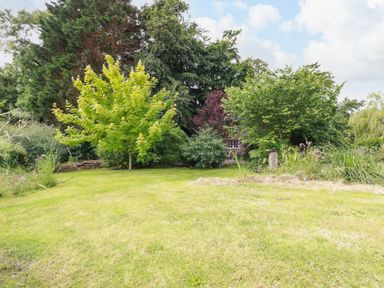 A garden with green grass and various trees at The Cottage in St Kew
