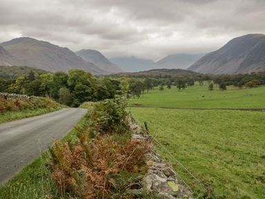 A country road with dry plants beside a stone wall and green fields with trees and mountains in the background at The Residence in Cleator