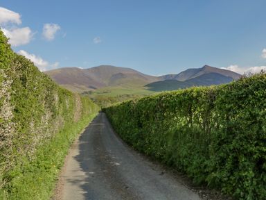 A narrow road lined with tall hedges on both sides leading towards hills under a blue sky at The Residence in Cleator