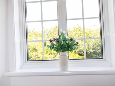 A vase with flowers on a windowsill with a garden view at Gwynn Cottage in St Mabyn