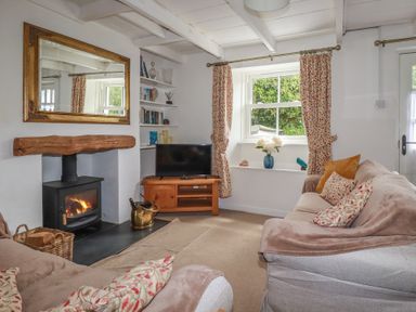A living room with a sofa and television at Gwynn Cottage in St Mabyn