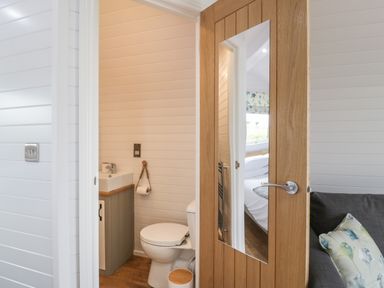 A small bathroom with a toilet sink and a wooden door with a mirror next to a living area with a sofa and cushion at Laird Lodge 1 in Lochmaben