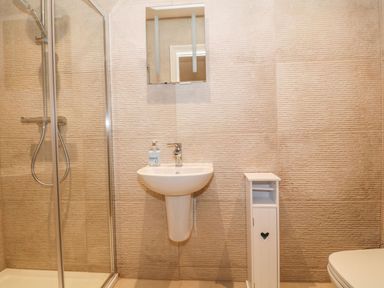 A bathroom with a shower enclosure a wall-mounted sink a small cabinet and a toilet at Sardis Chapel 1 Malltraeth