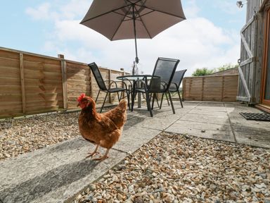 A patio area with a brown chicken walking on stone tiles next to gravel and outdoor table and chairs with an umbrella at Top Lodge in Llanvair-Discoed near Penhow
