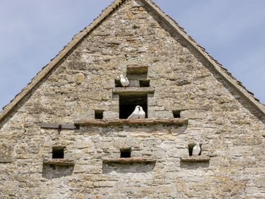 A stone building facade with small square openings and white birds perched on ledges at Nympy Cottage in Nympsfield near Nailsworth
