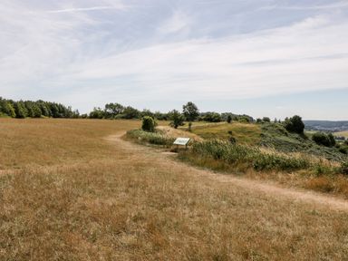 A grassy field with a dirt path and trees in the background at Nympy Cottage in Nympsfield near Nailsworth