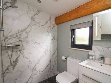 A bathroom with a walk-in shower toilet sink and a window at Daffodil in Llangadfan