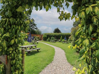 A garden with picnic tables and umbrellas along a gravel path at Rhosyn in Llangadfan