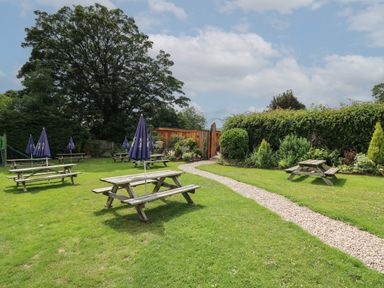 A garden with wooden picnic tables and umbrellas along a gravel path at Rhosyn in Llangadfan
