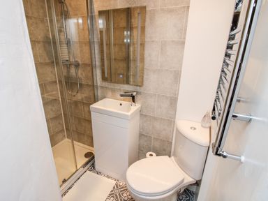 A small bathroom with a shower enclosure sink toilet and towel radiator at Pentre Hall Bronygarth near Chirk
