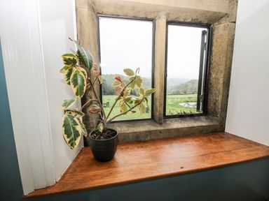 A potted plant on a wooden windowsill with a view of fields through two stone-framed windows at Pentre Hall Bronygarth near Chirk