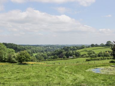 A grassy field with trees and a pond under a cloudy sky at Pentre Hall in Bronygarth near Chirk