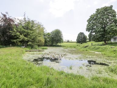 A small pond surrounded by grass and trees at Pentre Hall in Bronygarth near Chirk