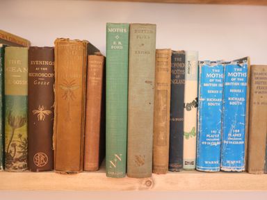 A wooden shelf with a collection of old books about moths and insects at Warren Cottage in Bures near Assington