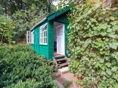 A green wooden garden shed with open windows and door surrounded by green bushes and climbing plants at Warren Cottage in Bures near Assington