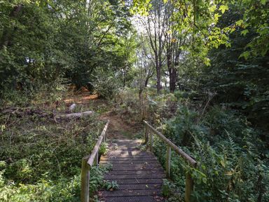A small wooden bridge over plants and foliage with a dirt path leading into a wooded area at Warren Cottage in Bures near Assington
