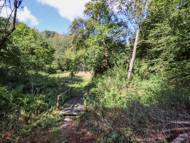 A narrow wooden bridge over a small stream in a forested area at Warren Cottage in Bures near Assington
