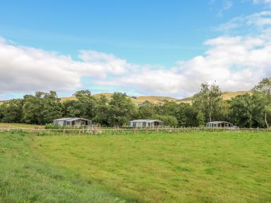 Three tents set up in a field with a wooden fence and trees in the background at The Salmon in Nantmel near Rhayader