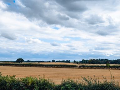 An open field with hedges and trees under a cloudy sky at Veiko - Mayflower Meadow in Burshill near Brandesburton