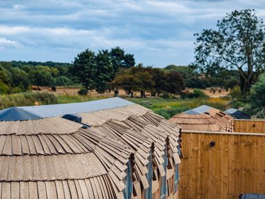 A row of wooden cabins with shingled roofs near a field with trees and grazing animals at Veiko - Mayflower Meadow in Burshill near Brandesburton