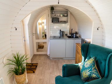 A small kitchenette with a sink stove and shelves next to a green armchair with a cushion and a potted plant on the floor at Veiko - Mayflower Meadow in Burshill near Brandesburton