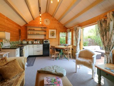 A wooden interior living space with a kitchen area round dining table and chairs a white armchair with a fur cover and an outdoor seating area visible through open doors at Willow Lodge in Potter Heigham