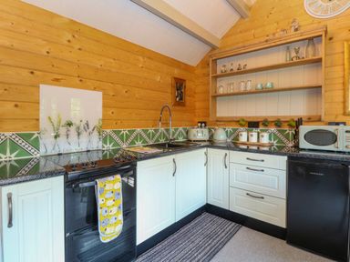A kitchen with white cabinets black oven black mini fridge microwave toaster kettle and open shelves at Willow Lodge in Potter Heigham