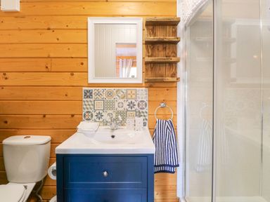 A bathroom with a toilet sink blue cabinet mirror wooden shelves towel next to a shower at Willow Lodge in Potter Heigham