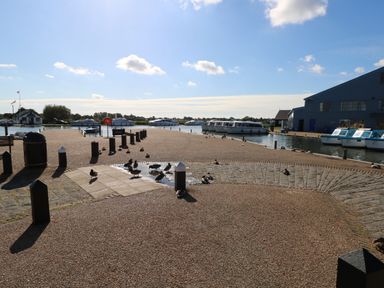 A marina with boats docked and ducks on the ground near the water at Willow Lodge in Potter Heigham