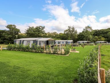A row of large tents on grassy land with young shrubs and trees in the background at The Otter in Nantmel near Rhayader