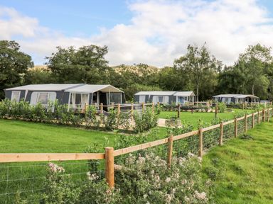 A fenced grassy area with three large tents and trees in the background at The Otter in Nantmel near Rhayader
