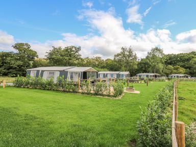 A grassy field with several large tents and trees in the background at The Heron in Nantmel near Rhayader