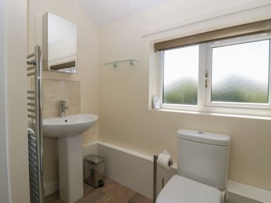 A bathroom with a pedestal sink a mirror toilet and frosted window at 12 Eamont Park in Penrith