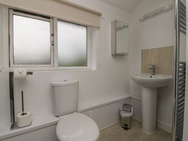 A bathroom with a toilet a pedestal sink a wall-mounted mirror cabinet and a window at 9 Eamont Park in Penrith