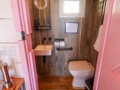 A small bathroom with a white toilet and sink wooden walls and a pink door at Sea Spray in Lyme Regis