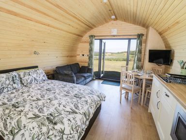 A wooden cabin interior with a bed a sofa a dining table and kitchen area with an open glass door showing outdoor landscape at Ailsa Craig in Hillhampton Great Witley