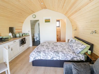 A bedroom with a bed a kitchenette and a view into a bathroom at Ailsa Craig in Hillhampton Great Witley