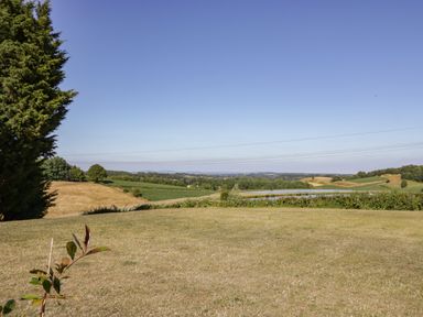 A field with dry grass a tree on the left and rolling hills in the background at Ailsa Craig in Hillhampton Great Witley