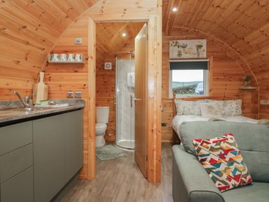 A studio with kitchen, bathroom and sleeping area at Beech in Ulverston