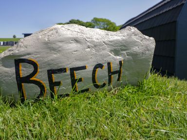 A rock with the word Beech painted on it in an outdoor area at Beech in Ulverston