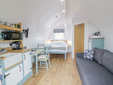 A compact living space with a kitchen area dining table bed and sofa at Laird Lodge 2 in Lochmaben