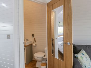 A small bathroom with a toilet sink and mirror on a wooden door at Laird Lodge 2 Lochmaben