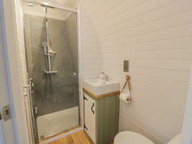 A small bathroom with a shower enclosure a sink on a cabinet and a toilet at Laird Lodge 2 in Lochmaben