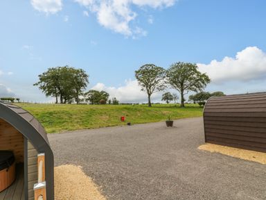 An outdoor area with gravel ground trees and two small curved wooden structures at Laird Lodge 2 in Lochmaben