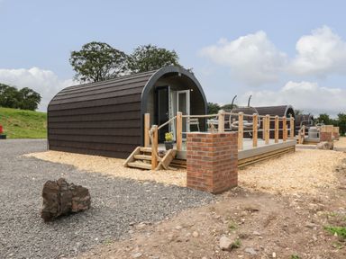 A row of brown wooden pods with decks and outdoor furniture on a gravel and wood chip surface at Laird Lodge 3 in Lochmaben