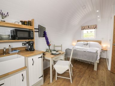 A small room with a bed a kitchen area with microwave coffee maker and sink a table with two chairs and a window at Laird Lodge 4 in Lochmaben